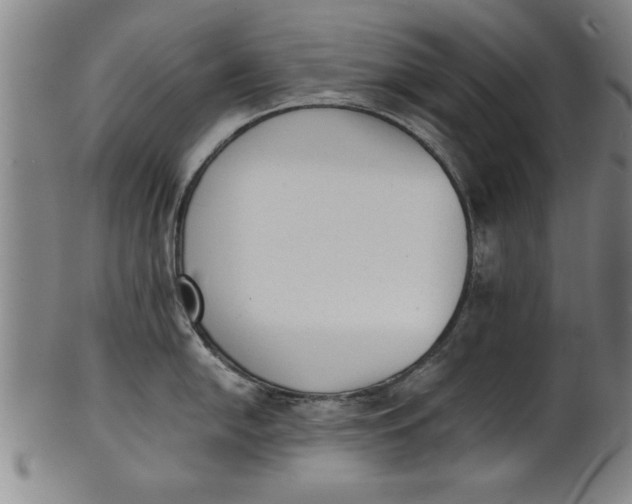 X0000101951054200808081501