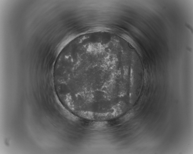 X0000101951055200808081501