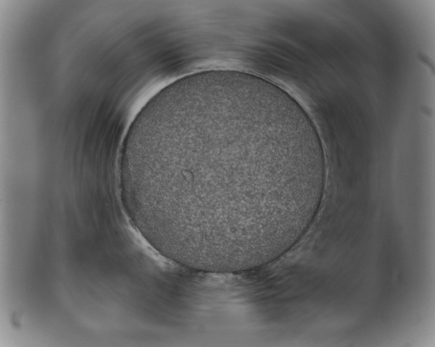 X0000101951056200808081501