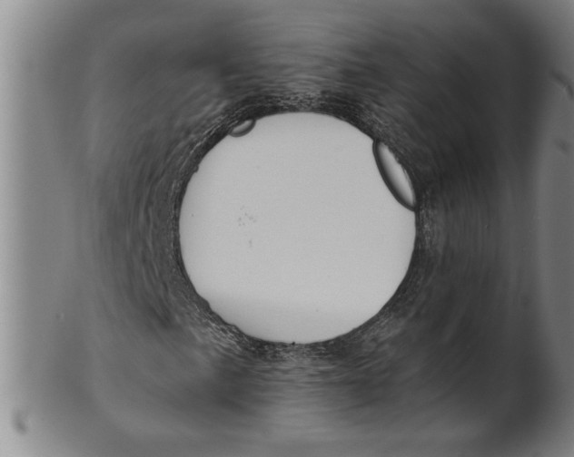 X0000101951057200808081501