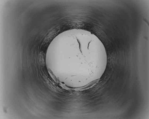 X0000101951058200808081501