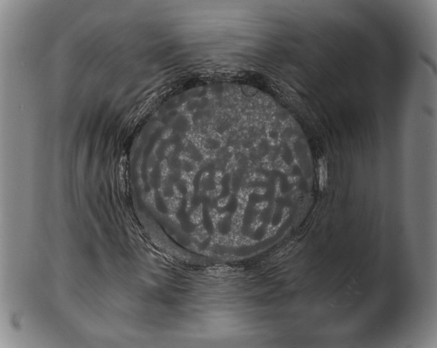 X0000101951059200808081501