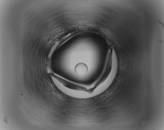 X0000101951060200808081501