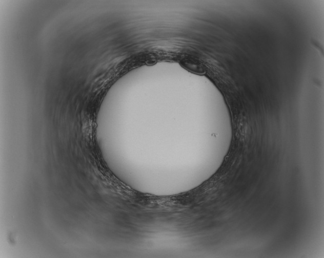 X0000101951061200808081501