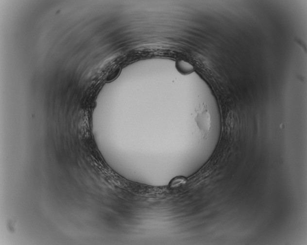 X0000101951062200808081501