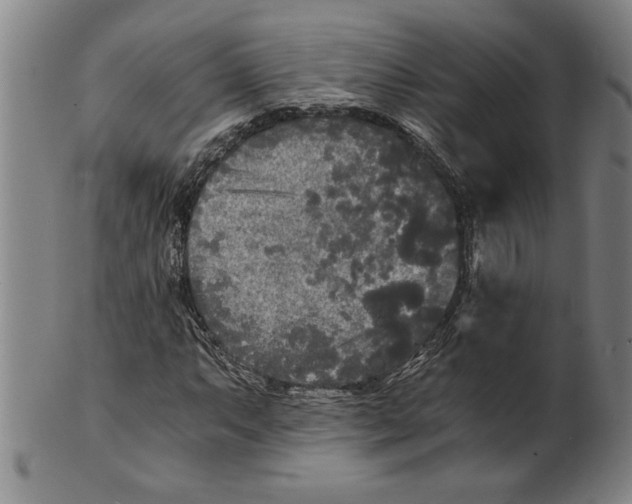 X0000101951063200808081500