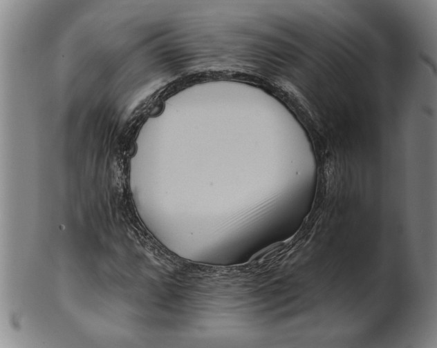 X0000101951064200808081500