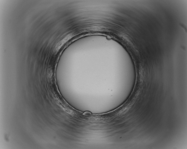 X0000101951065200808081500