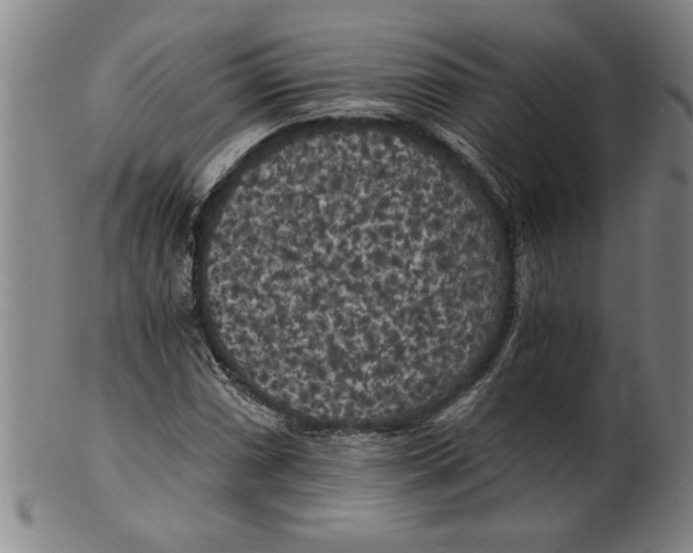 X0000101951066200808081500