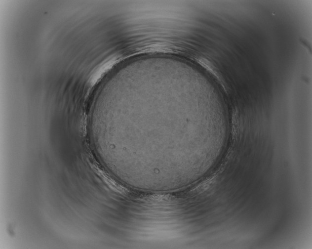 X0000101951067200808081500