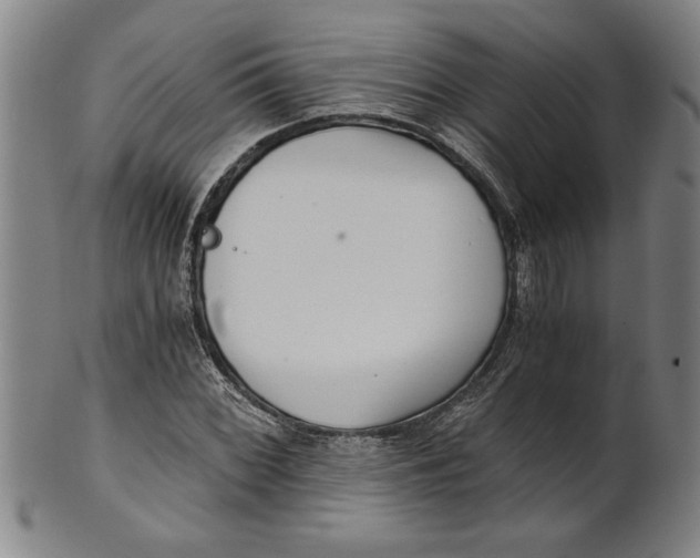 X0000101951068200808081500