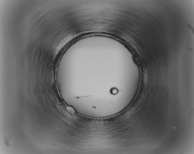 X0000101951069200808081500