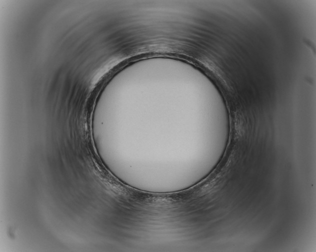 X0000101951070200808081500