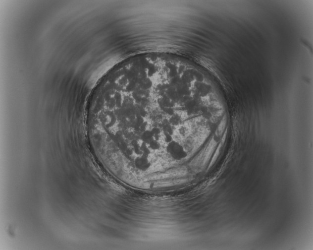 X0000101951071200808081500
