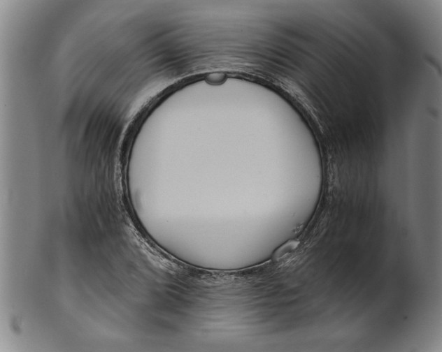 X0000101951072200808081500