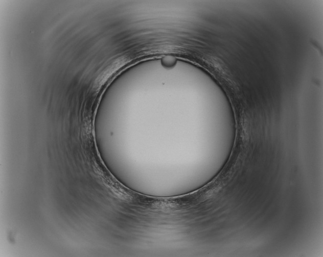 X0000101951073200808081500