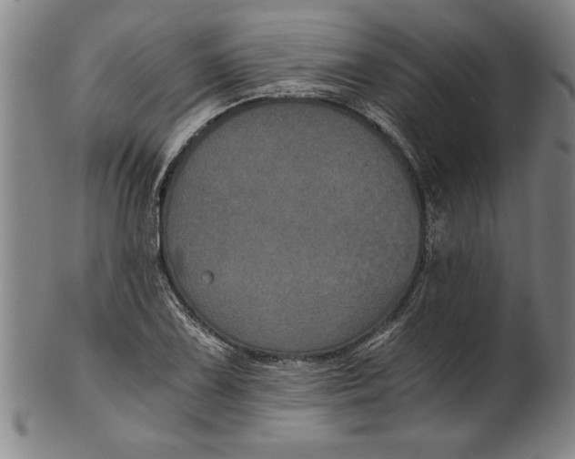 X0000101951075200808081500