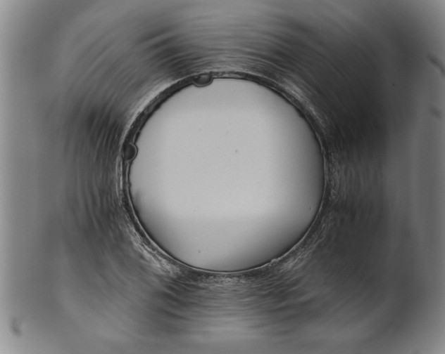 X0000101951076200808081500