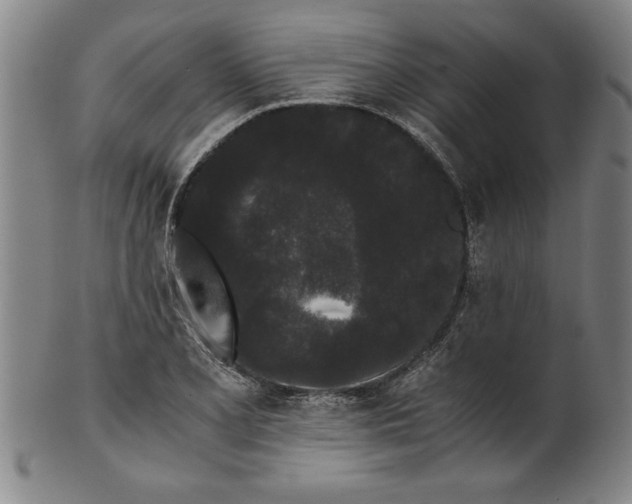 X0000101951077200808081500