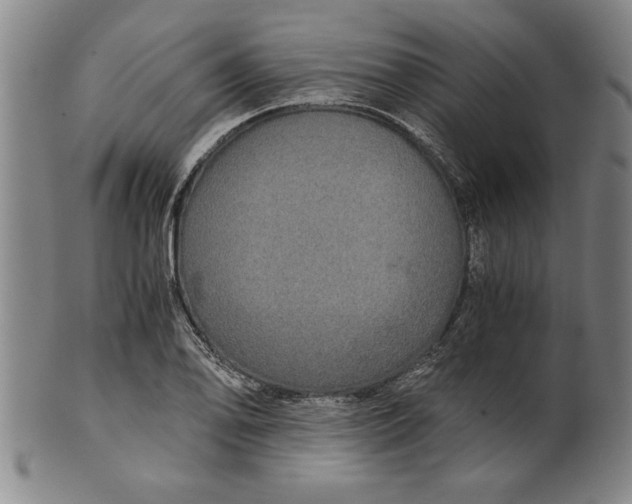 X0000101951078200808081500
