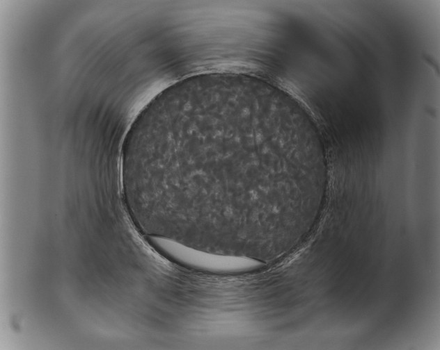 X0000101951079200808081500