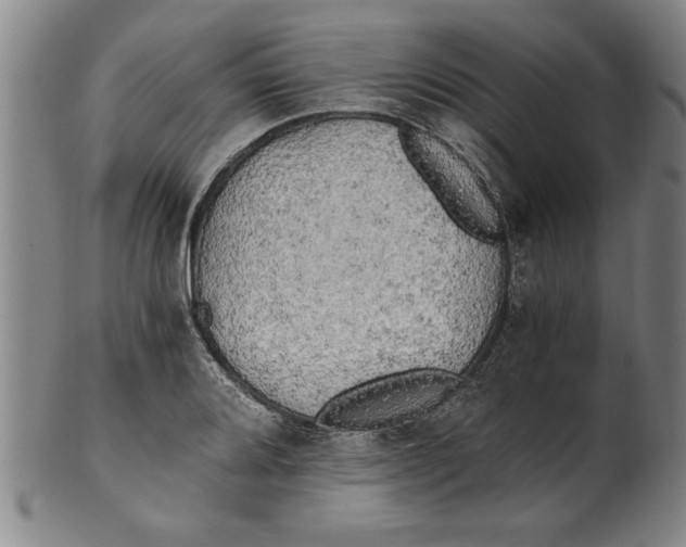 X0000101951080200808081500