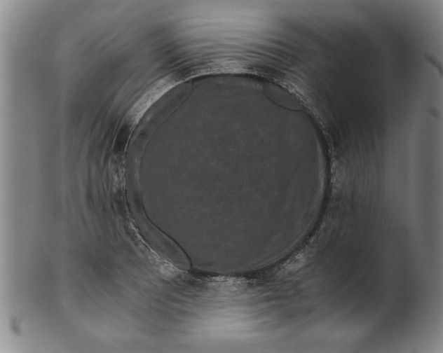 X0000101951081200808081500