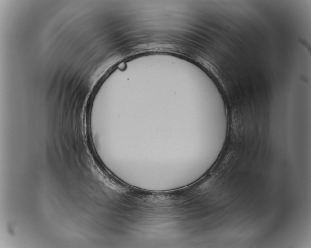 X0000101951082200808081500