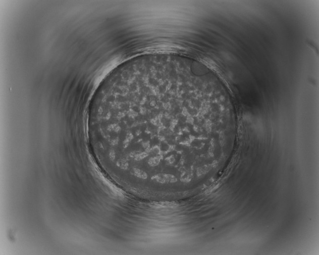 X0000101951083200808081500