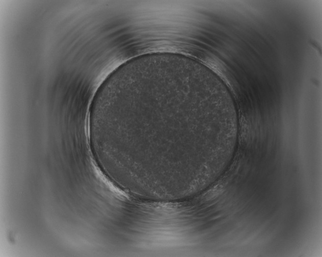 X0000101951084200808081500