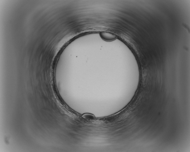 X0000101951085200808081500