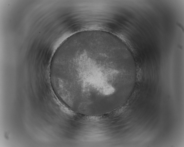 X0000101951086200808081500
