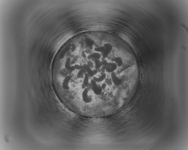 X0000101951087200808081500