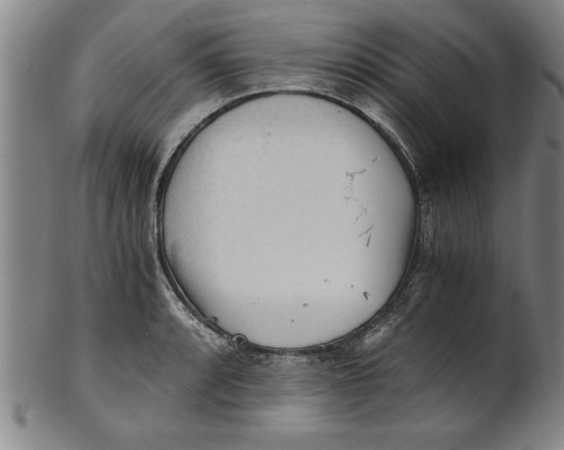 X0000101951088200808081500