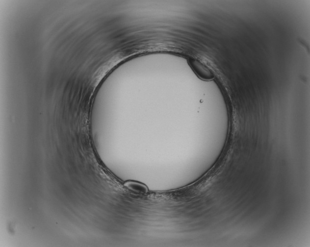 X0000101951089200808081500
