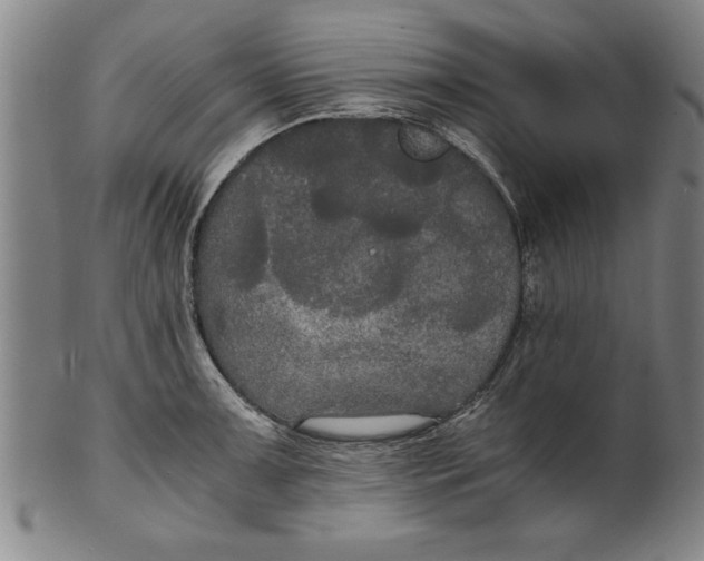 X0000101951091200808081500