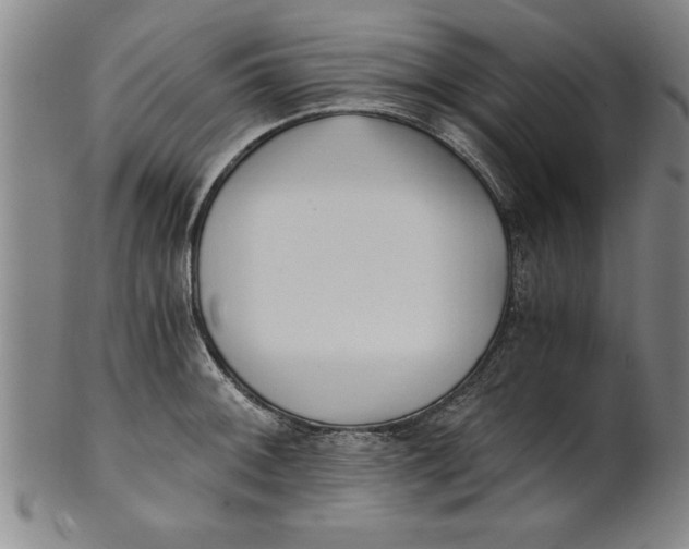 X0000101951092200808081500