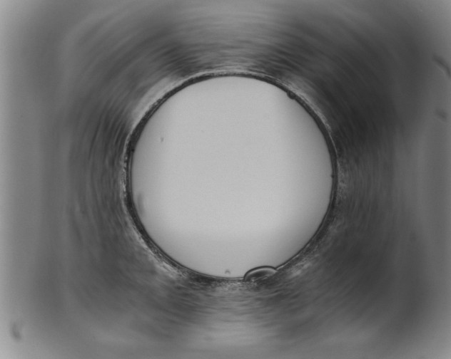 X0000101951093200808081500