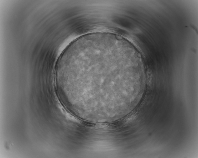 X0000101951094200808081500