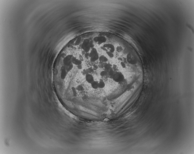 X0000101951095200808081500