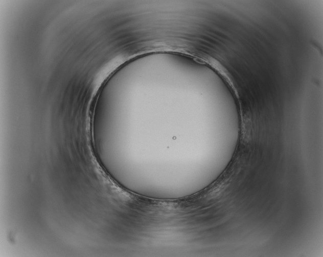 X0000101951096200808081500