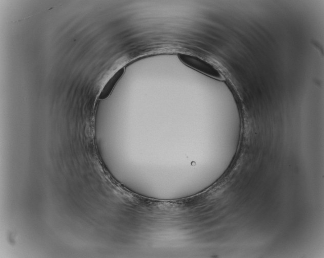 X0000101951097200808081500
