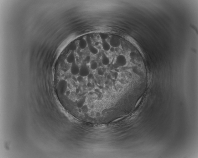 X0000101951099200808081500