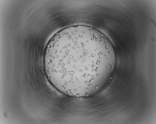 X0000101951100200808081500