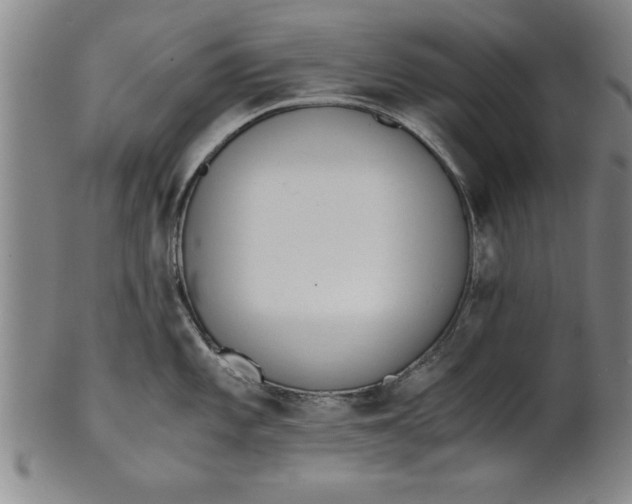 X0000101951101200808081500