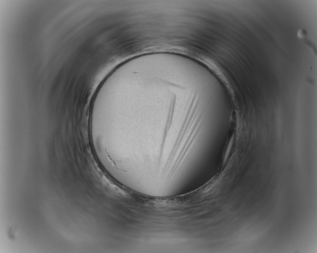 X0000101951102200808081500