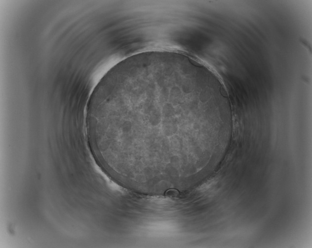 X0000101951103200808081500