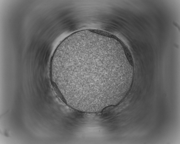 X0000101951104200808081500