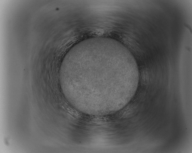 X0000101951105200808081459