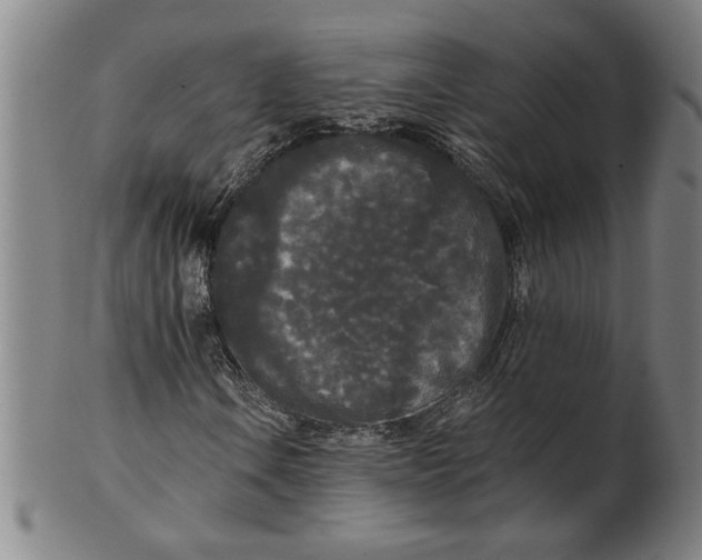 X0000101951106200808081459